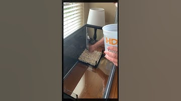 Asian Style and Sponge Filter Hybrid for 40 Gal Breeder Shrimp Aquarium.  #aquariumfilter