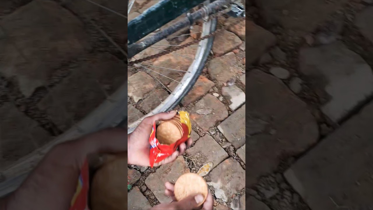 🐂animal bezubaano 