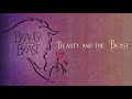 Beauty and the beast  instrumental with lyrics