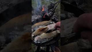 Трофейный хариус Приполярных рек  #неспортивныйтурист  #ntourist