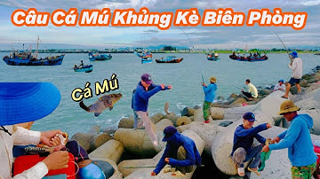 Câu Cá Mú khủng Kè Biên Phòng Lagi Bình Thuận​⁠@Longvlog86