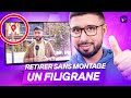 Comment enlever le filigrane dans une vido facilement 