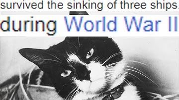 weakest german cat