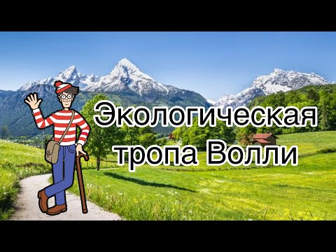 Занятие 19. Экологическая тропа Волли