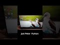 I Build an Offline AI in a Smart Way