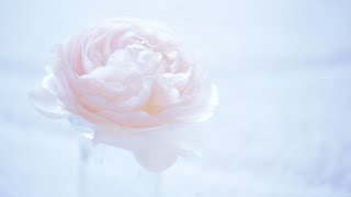 Funeral Service for Samantha Lockard