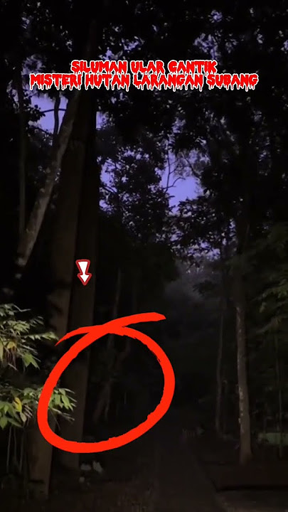 Penampakan siluman ular di hutan larangan subang #penampakan #hantu #misteri #mistis #siluman