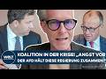 KOALITION IN DER KRISE: Polit-Profi macht klar! „Angst vor der AfD hält diese Regierung zusammen!“