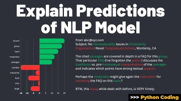 Making Sense of Text Classifier Predictions | Interpretation & Explanation