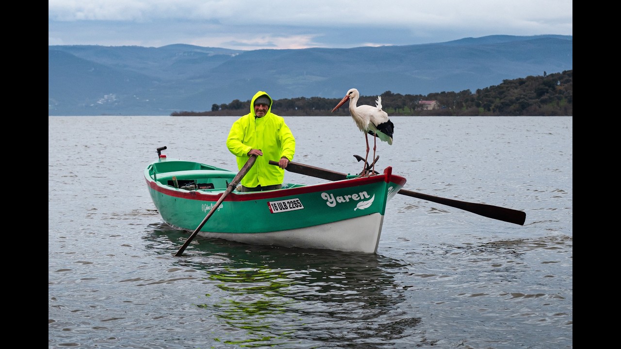 Adem Amca'nın kayığına konunca Yaren olduğu anlaşıldı