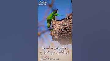 القرآن الكريم ،،صوت هادء وجميل جدا ،، سورة لقمان (واصبر على ما أصابك أن ذلك من عزم الأمور )