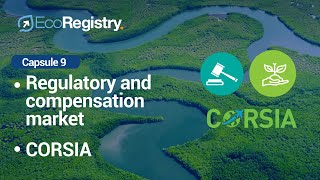 Knowledge Capsule 9 - International Carbon Markets.