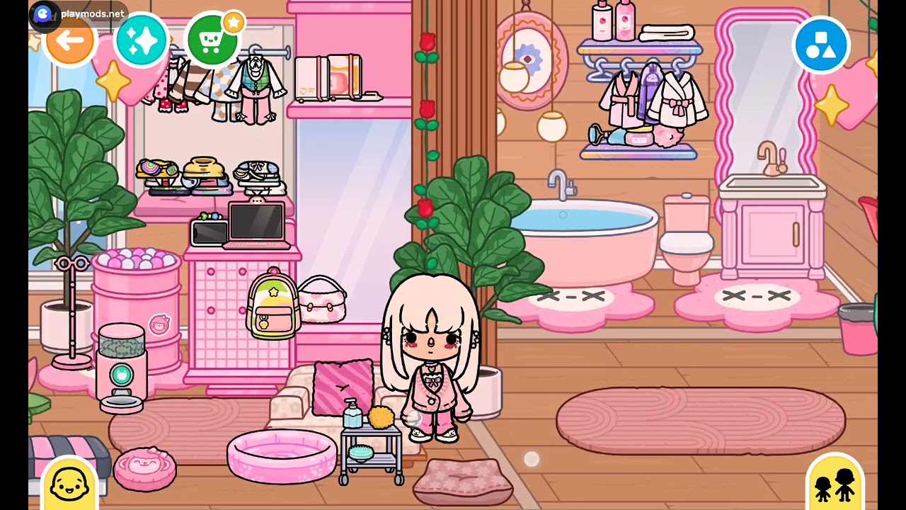 ١١ فبراير، ٢٠٢٦