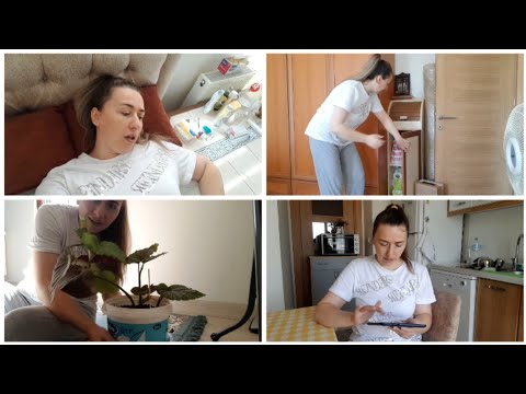 შენს რძალს რატომ არ ახსენებო. ცოტა რამ ჩემი კვების რაციონის შესახებ