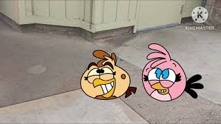 Stella, Sliver And Melody Saw The Birds At The Seaworld