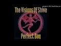 The visions of shiva  perfect day