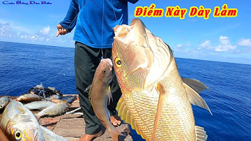 CÂU CÁ BIỂN TRƯỜNG SA 12│SÁNG SỚM DÒ TRÚNG Ổ CÁ ĐỔNG XỘP ,KÉO CÁ MỎI TAY│CUỘC SỐNG DÂN BIỂN.