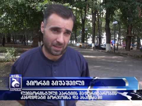 ლეიბორისტულმა პარტიამ ბორჯომი-ასპინძის მაჟორიტარობის კანდიდატი დაასახელა