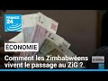 Zimbabwe  le zig nouvelle monnaie du pays  france 24