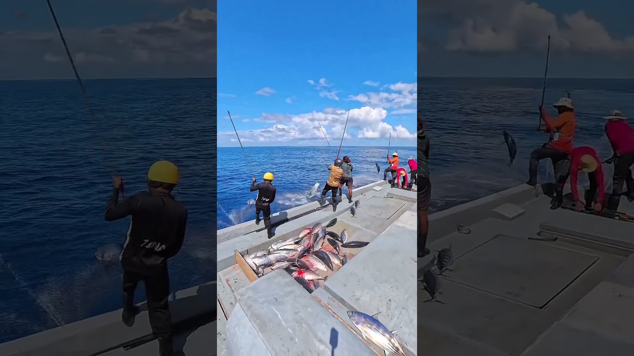 This Tuna Hit Like a FREIGHT TRAIN!😱.... 