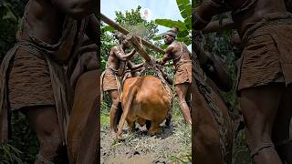 Preparing 1000Lbs For Tribal Feast