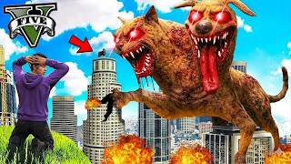 ကြောင်တစ်ပိုင်းခွေးတစ်ပိုင်း CATDOG ကြီး မြို့ထဲဝင်လာပြီ ...