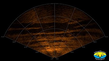 Drowning Victim Search