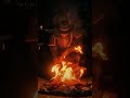 Essa obra de arte nunca será esquecido Red Dead 2 #reddeadredemption2 #games #rdr2 #xbox
