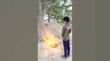 इच्छाधारी नागिन की नागमणि 🐍 nagin video #shorts #snake #nagin #nagmani #youtubeshorts