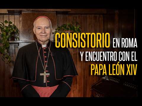 Mensaje del Cardenal tras el Consistorio en Roma y su encuentro con el Papa León XIV