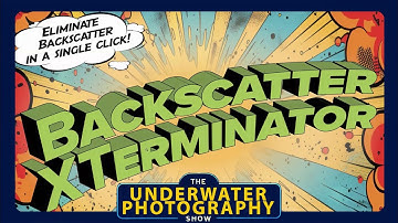 Erin Quigley Introduces Backscatter Xterminator software