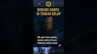 Burung Hantu di Tengah Gelap — Investor Tajam Lihat Peluang Saat Market Sepi