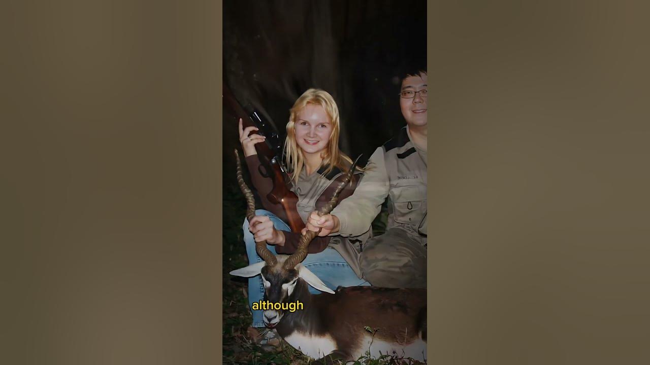 The Suitcase Murder A Billionaire's Tragic Fate YouTube