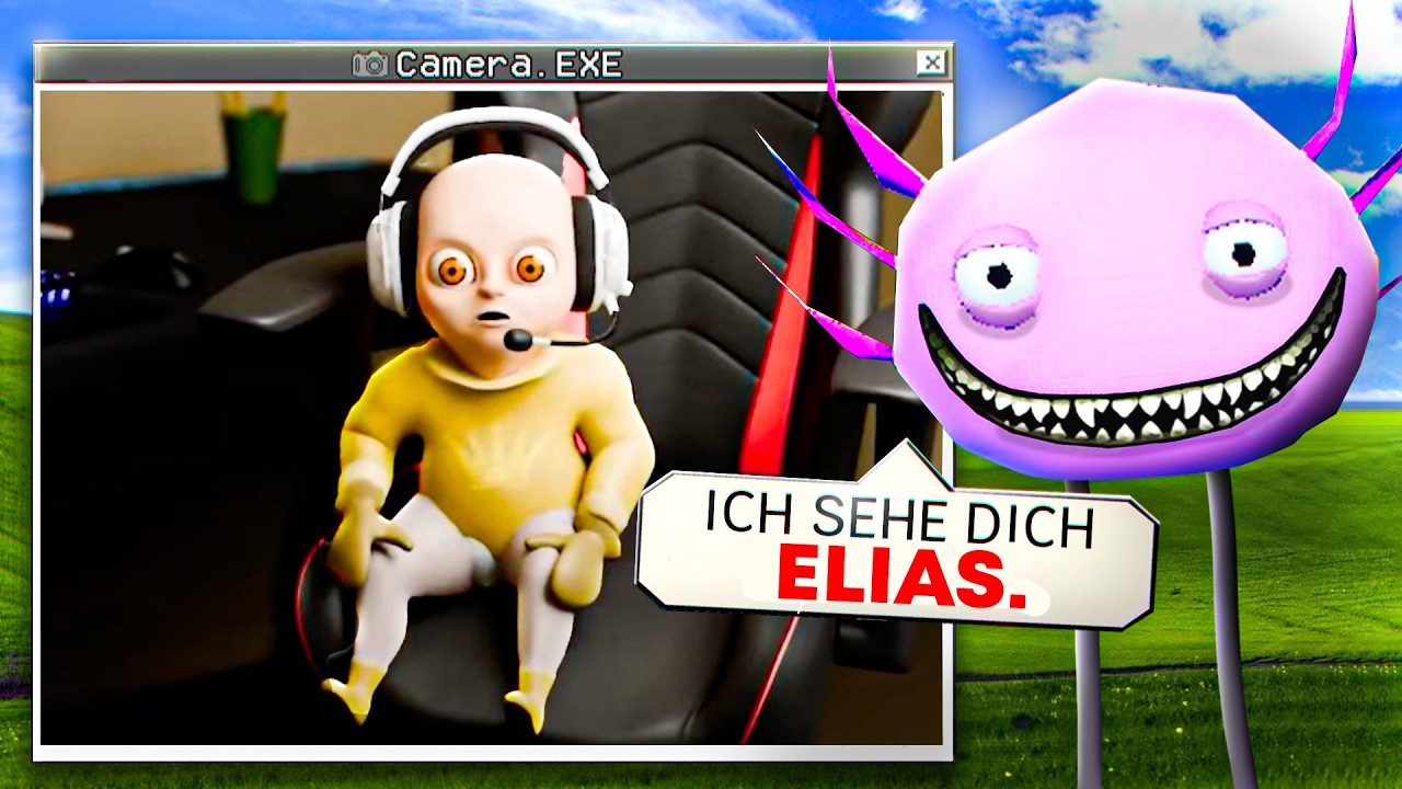 Vertraue NIEMALS Kinito Pet