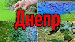 Экологическая Катастрофа реки Днепр, Украина 2021 | Катаклизмы, изменение климата, боль земли