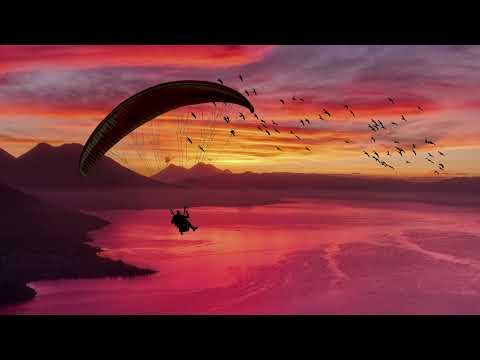BUNT., The Temper Trap - What If You Fly (Sweet Disposition)