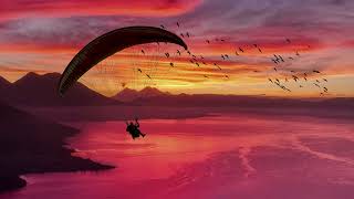 BUNT., The Temper Trap - What If You Fly (Sweet Disposition)