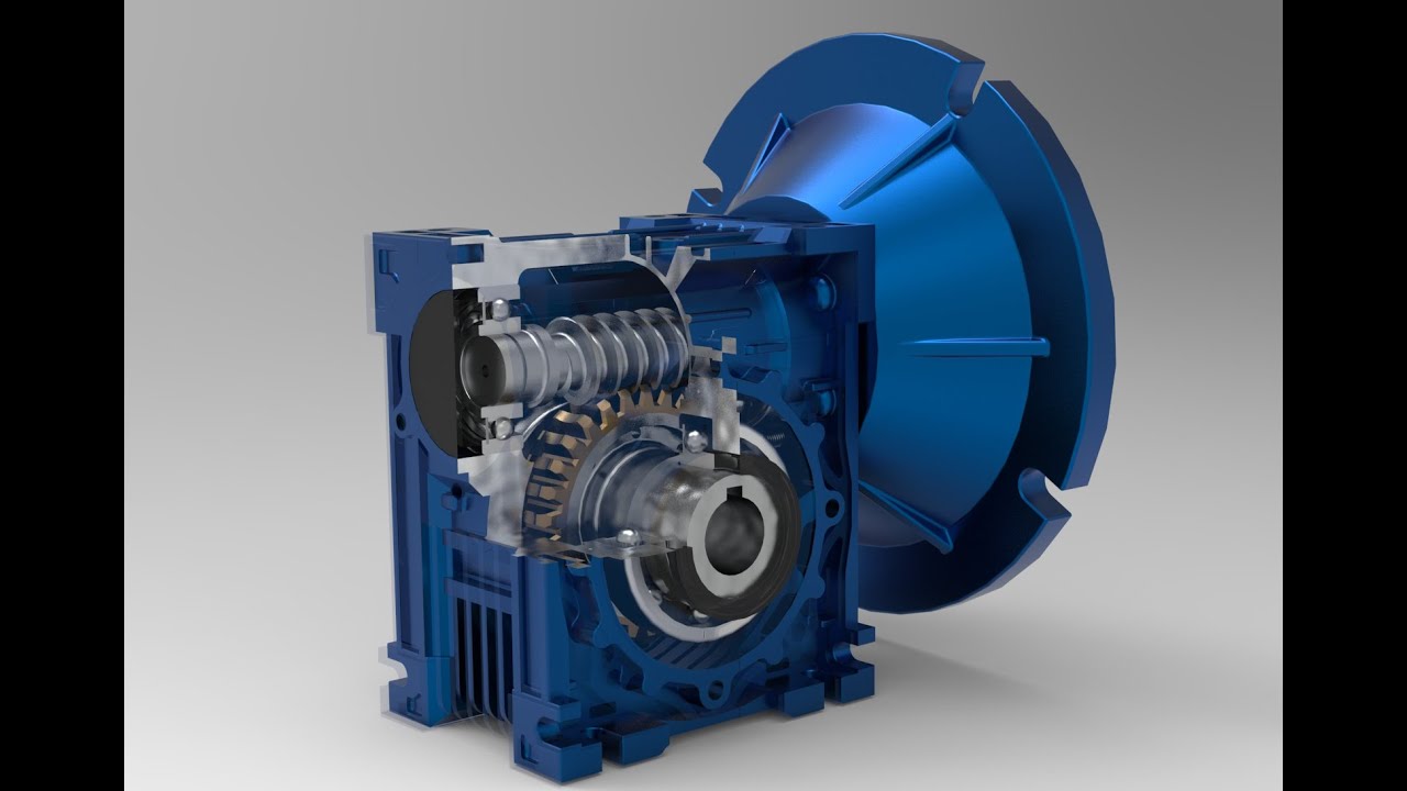 Worm Gear animation and components YouTube