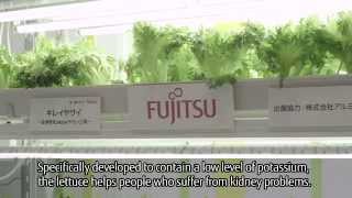 Akisai Food and Agriculture Cloud [FUJITSU JOURNAL]