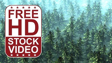 Free Stock Videos - forest scene Alaska Cedar top view fly above with fog 3D animation