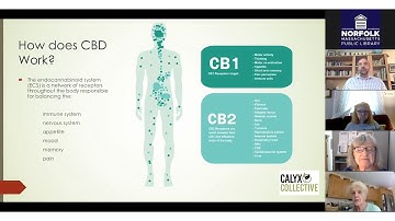 CBD and the Endocannabinoid System
