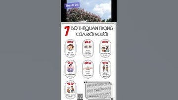 7 bố thí quan trọng của đời người #all #sub #shorst #reels #manifestation #luật_hấp_dẫn