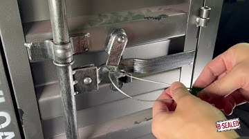 B-Sealed CableSeal (Cable wire seals)