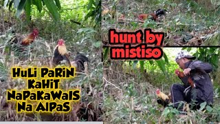 Red Jungle Fowl ep3:Hunting Wild Chicken (LABUYO)Huli parin KaHiT  npaka Gulang na ALPAS screenshot 5