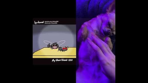 100 - first kiss - my ghost friend 100 #fyp #animation #cleaning #trending #viral #dsand