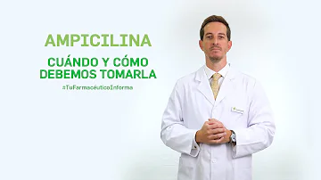 Para que é indicado a ampicilina?