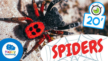 SPIDERS🕷️ | Animals for Kids | Fun and Educational Spider Facts for kids