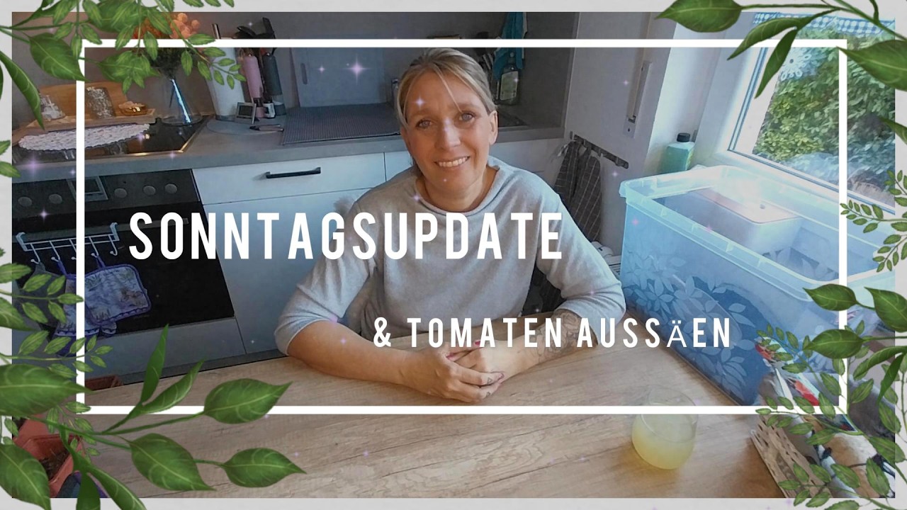 Sonntags-Update Tomaten aussäen