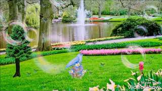 Dil Me Dard Sa Jaga hai Mohabbat Yeh Nahi To Kya Hai WhatsApp status