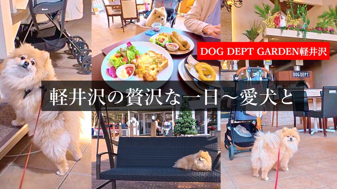 Опыт с моей любимой собакой в собачьем парке и ресторане DOG DEPT GARDEN Каруидзава.